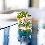 Hotel Cape Of Rodon Resort, Village