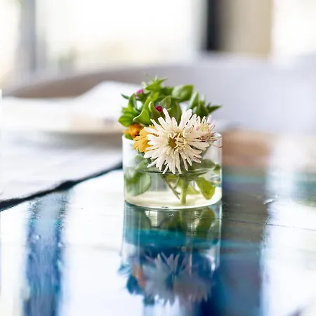 Hotel Cape Of Rodon Resort, Village